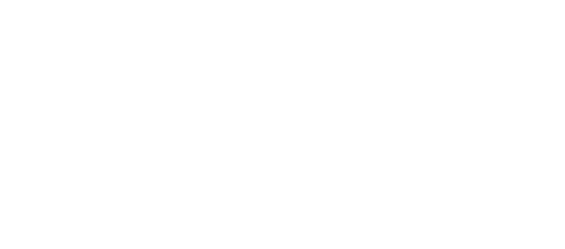 Логотип компании Ninebot