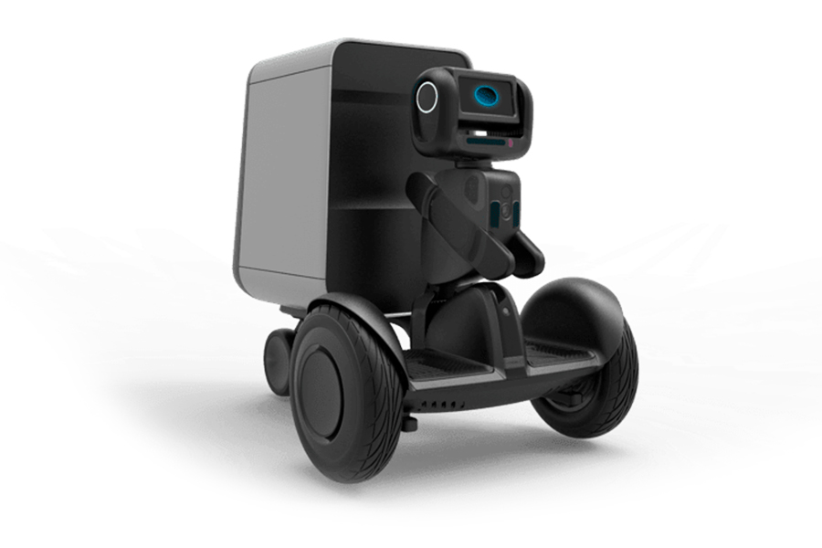 Segway Ninebot Robotics Loomo Go