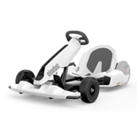 Segway-Ninebot Go Kart Ninebot miniS