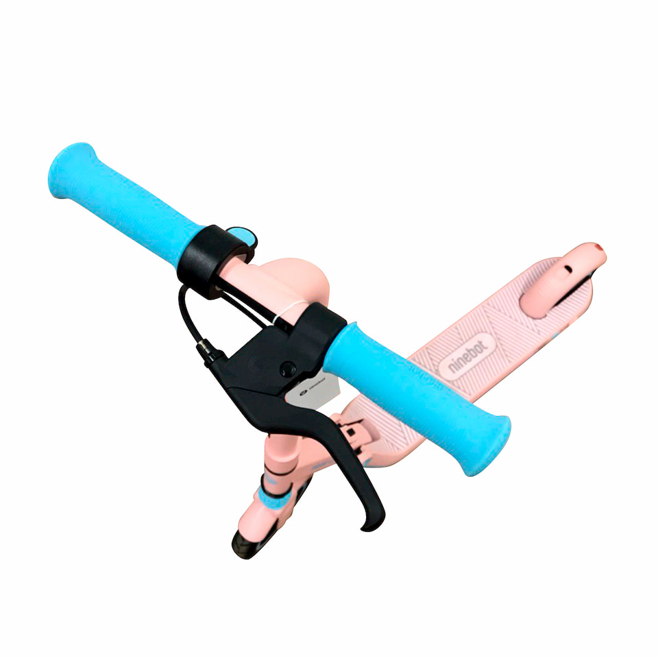 Рама и шины десткого электросамоката для девочек Ninebot eKickScooter Zing E8 Pink (розовый)